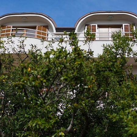 Apartman Vjekoslav 크르크 외부 사진